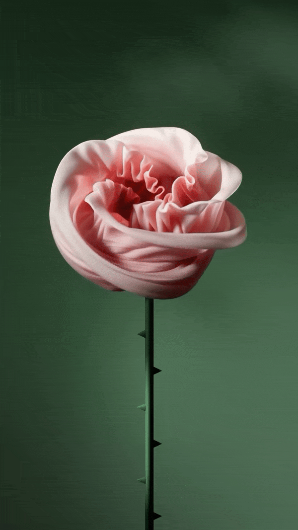 CGI Art