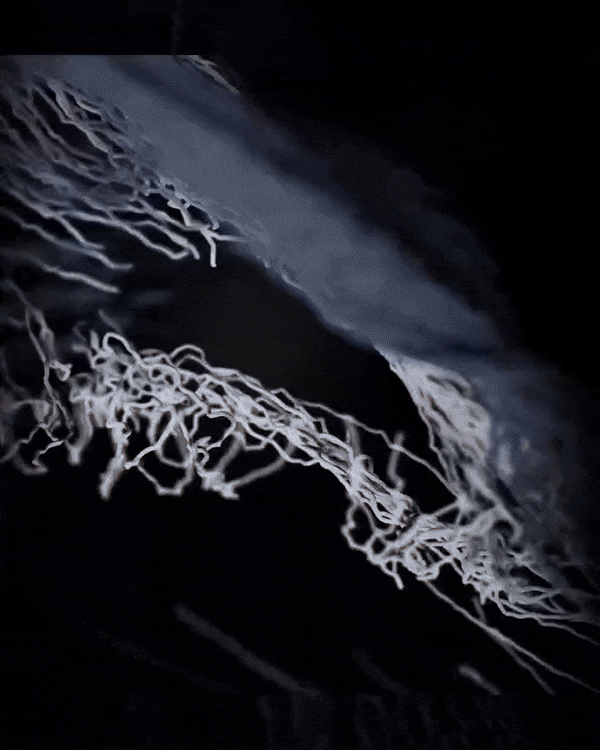 CGI Art