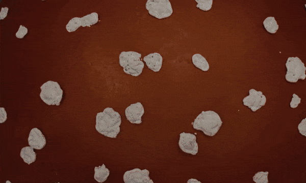 MONDAY REPORT NE 11/03/25