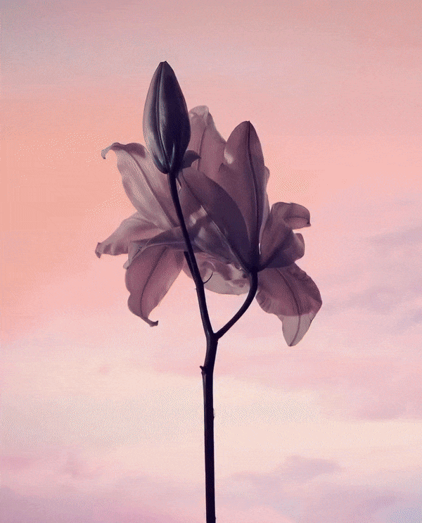 MONDAY REPORT SE 11/03/25