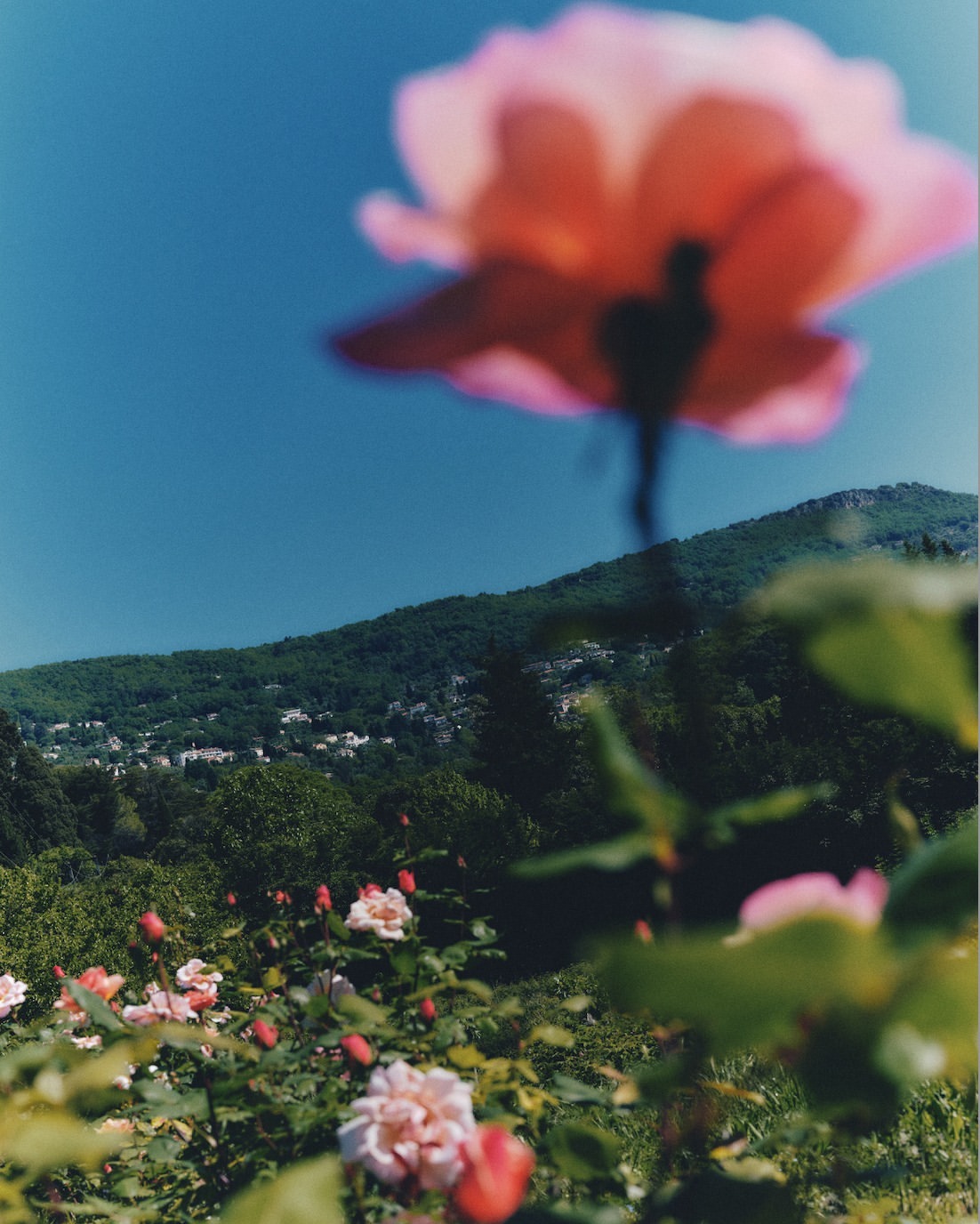 MONDAY REPORT SE 11/03/25