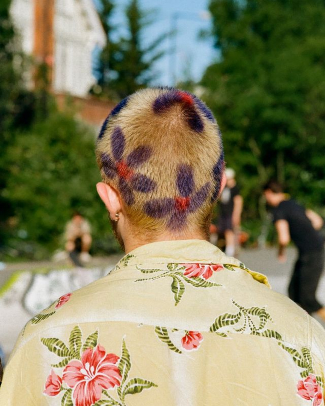 MONDAY REPORT NE 11/17/25