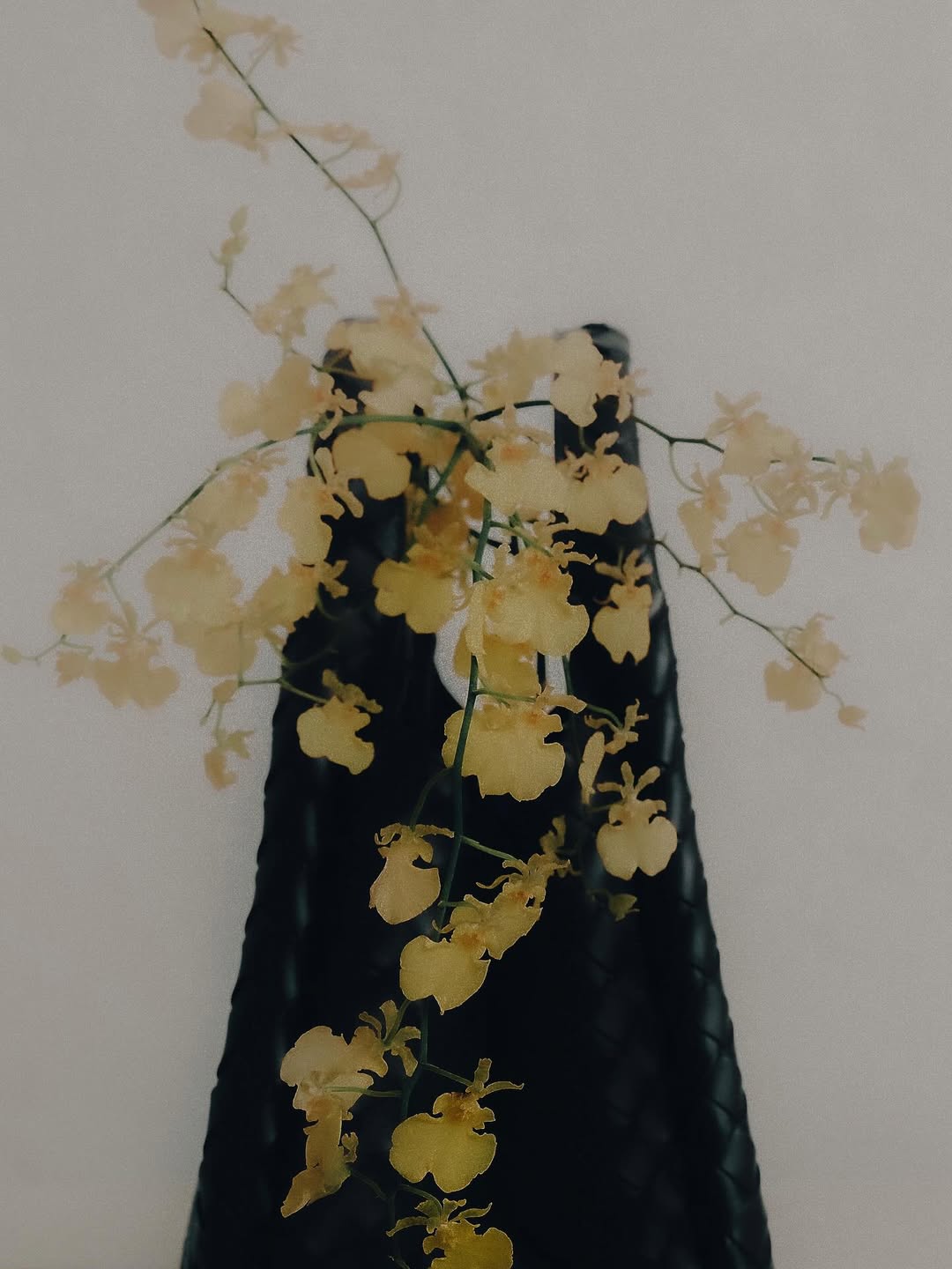 MONDAY REPORT SE 11/24/25