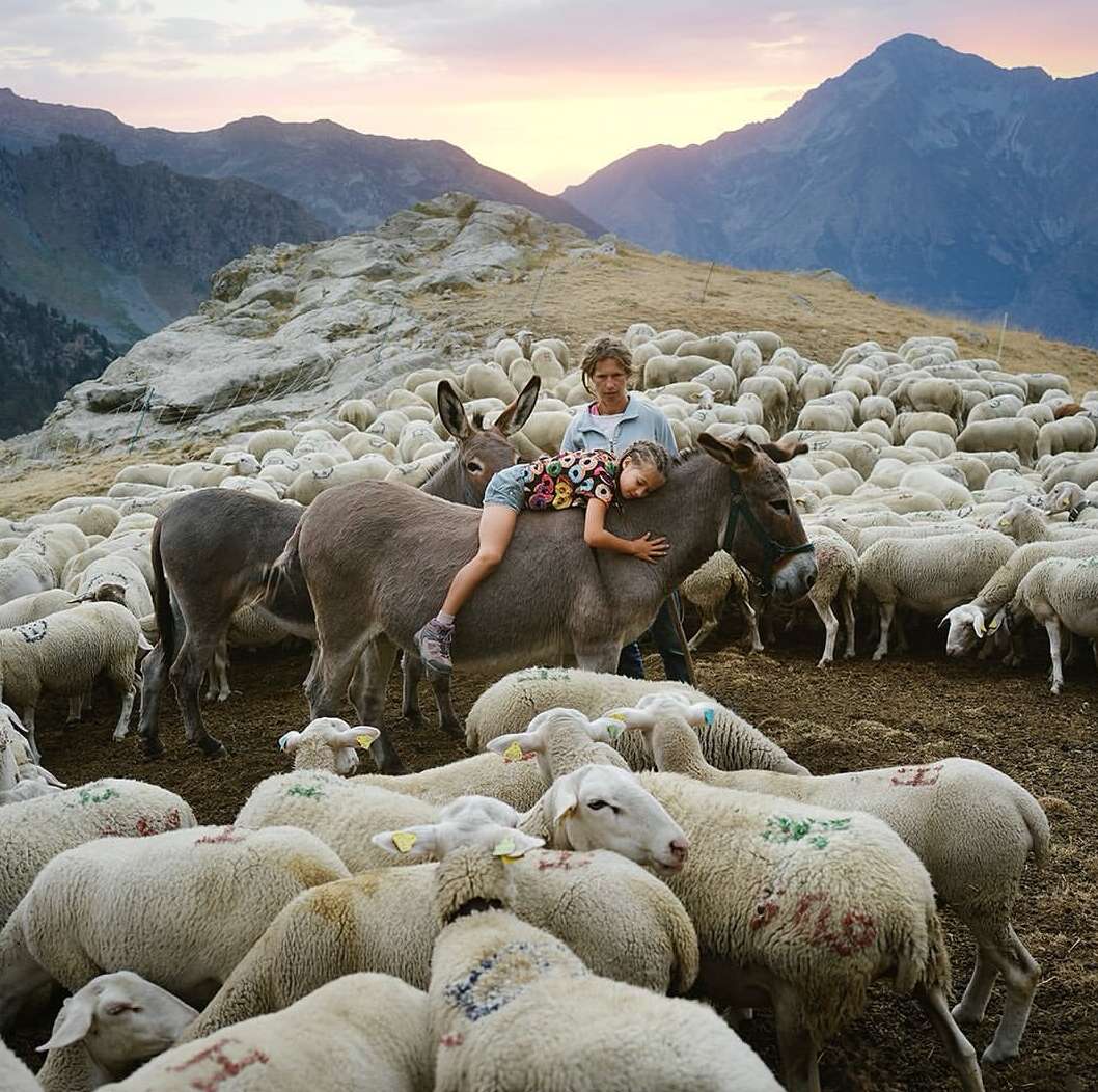 MONDAY REPORT SE 12/01/25