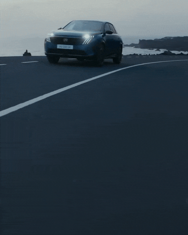 NEWCOMERS FW25 NE 01/16/26