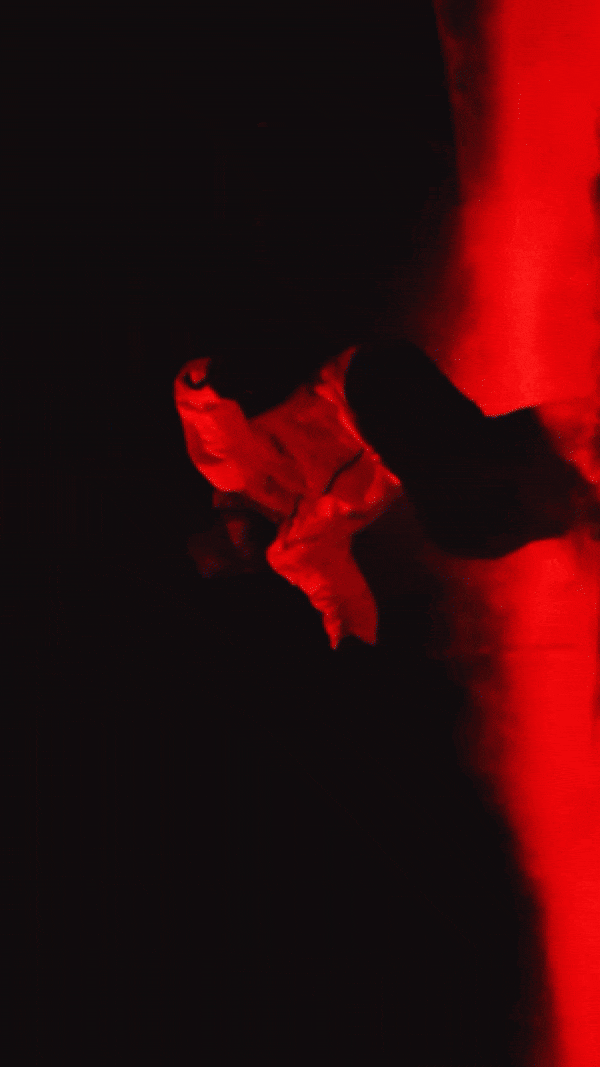 NEWCOMERS FW25 NE 01/16/26