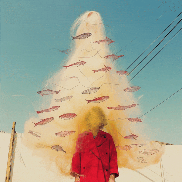 MONDAY REPORT SE 01/19/26