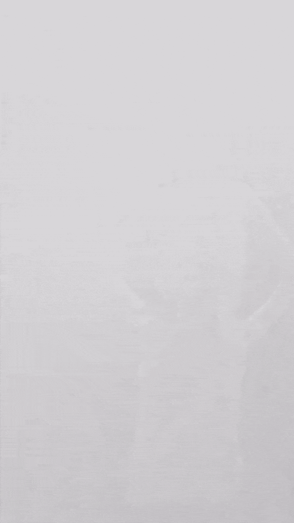 MONDAY REPORT US 01/19/26