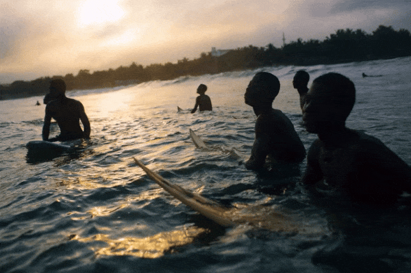 MONDAY REPORT INT 02/02/26